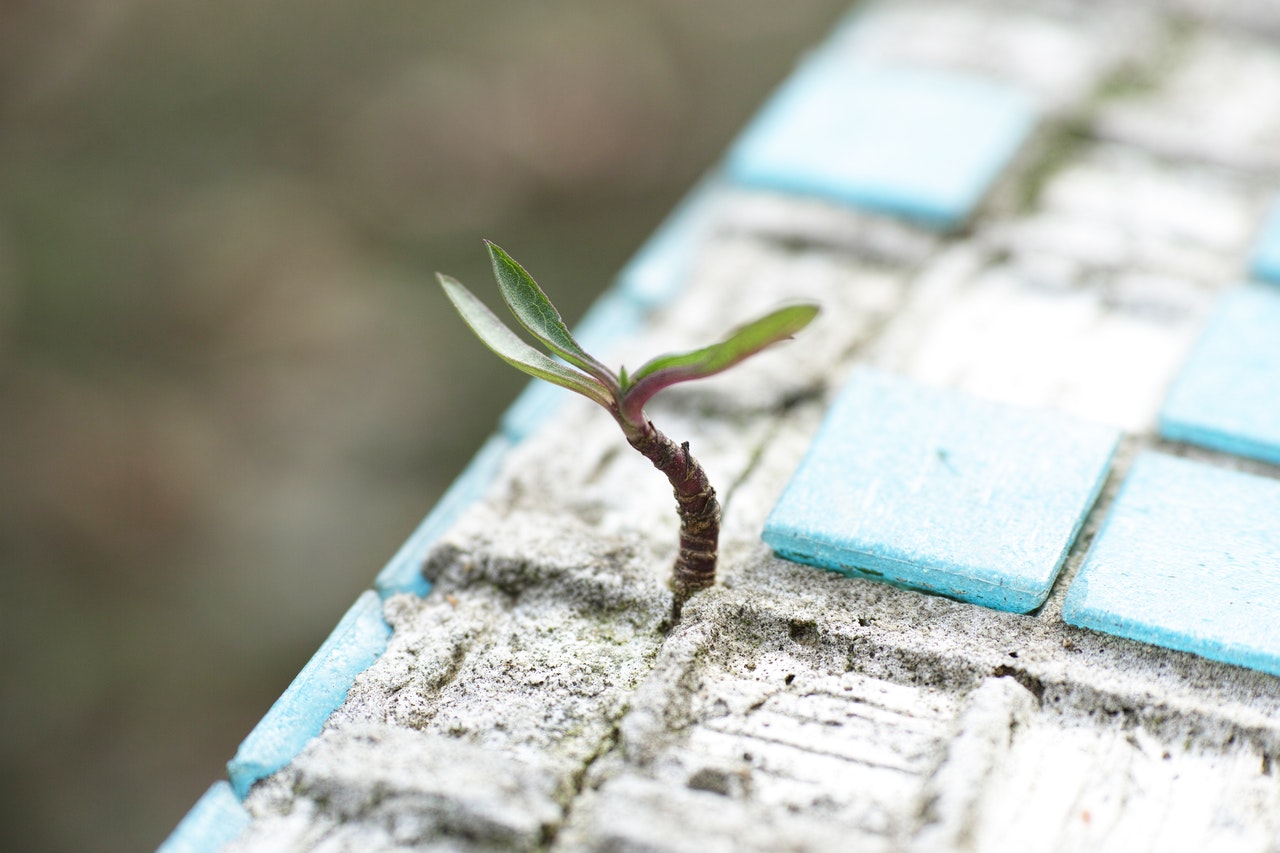 In A Turbulent Market, UST Growth Continues