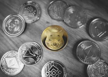 Shiba Inu Barks At Bears With 25% Gains, But Social Media Continues To Trend Dogecoin