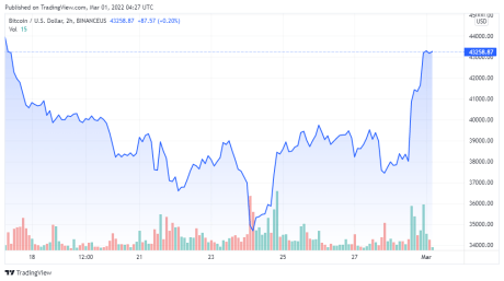 BTCUSD price chart for 03/01/2022 - TradingView