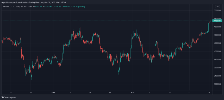 Bitcoin BTC BTCUSD