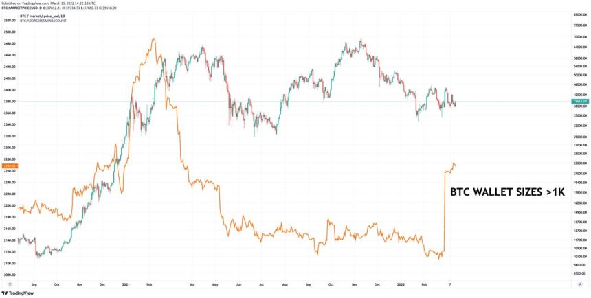 Bitcoin BTC BTCUSD