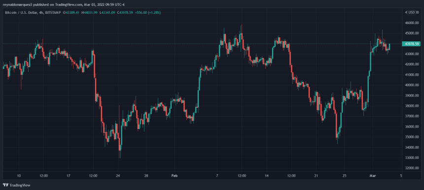 Bitcoin BTC BTCUSD