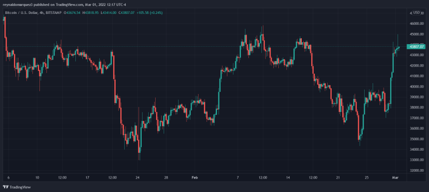 Bitcoin BTC BTCUSD