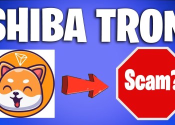 Shiba Tron