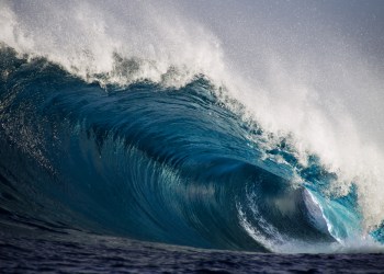 bitcoin green wave momentum weekly macd lmacd