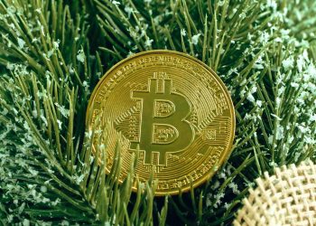 Data Shows Bitcoin Top Buyers Already Capitulated, New Bull Rally Here?