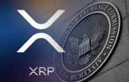 Ripple Vs SEC Lawyer Explains Why Nov 30 Is Crucial And Why A 
