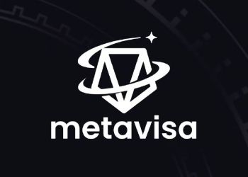 Build up and Visualize Your 3D Decentralized Identity