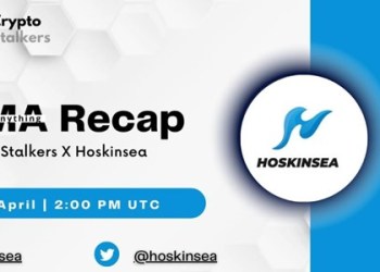 Hoskinsea X Cryptostalker AMA Session Recap, Hoskinsea Furthers Project Development