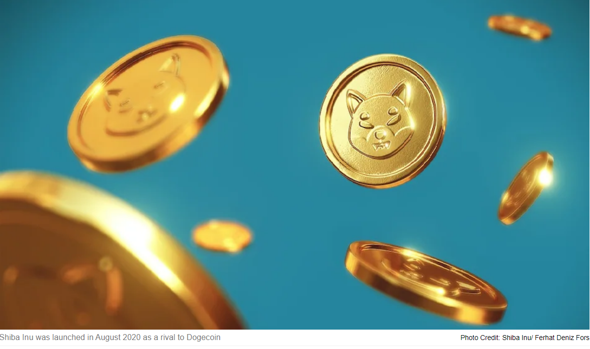 Move Over Bitcoin – Is Shiba Inu The Next Crypto Gold?