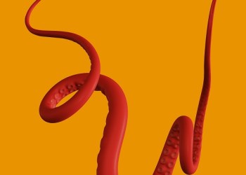 Kraken, octopus tentacles