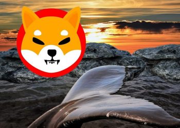 Shiba Inu whale