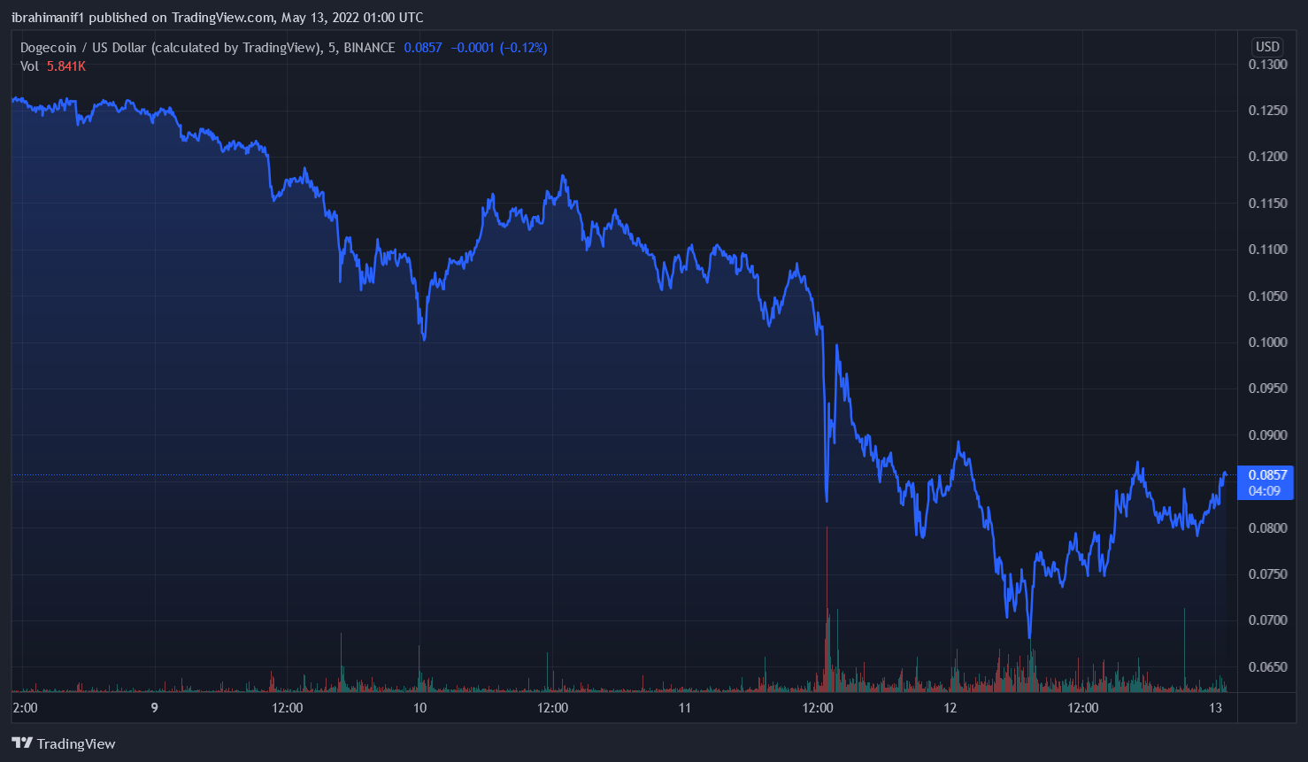 Dogecoin Has Dropped 90% Since &#8220;The Dogefather&#8221; Debuted On SNL