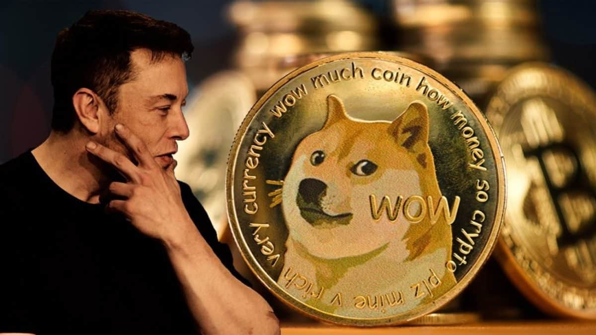 Dogecoin Has Dropped 90% Since “The Dogefather” Debuted On SNL