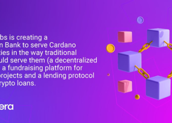 DuveraDex a Cardano based Blockchain DEfi project is hiring Developers and Product Designers
