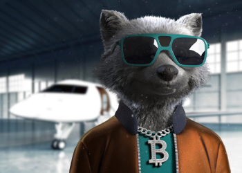 Creating a Self Development Platform Amongst Many Other Utilities – Trash Panda Gang Focuses on Helping Their Community