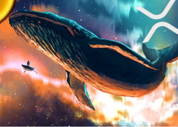 XRP whales
