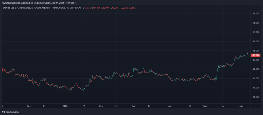 Bitcoin dominance BTCD