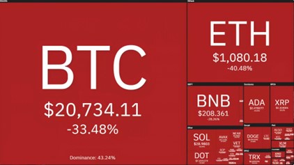 540% Profit on the Bear Market! How?