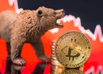 bitcoin bear
