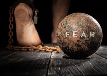 crypto market extreme fear