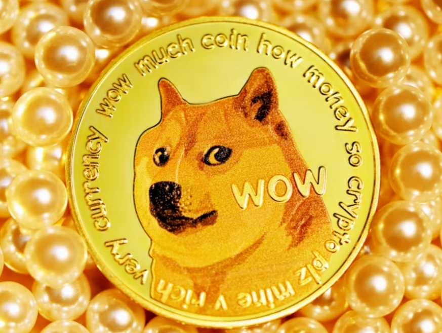 Dogecoin Emerges A Top Gainer Despite Musk Vs. Twitter Legal Tussle
