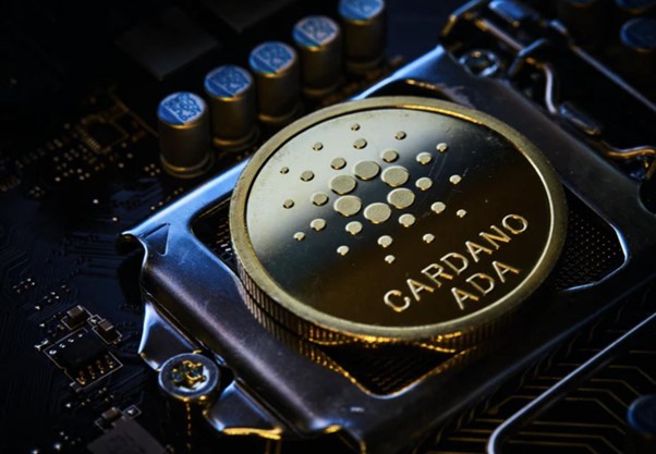 Cardano (ADA)、RoboApe (RBA) 和 Monero (XMR)：可以让您在不久的将来致富的顶级加密货币