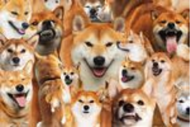 Shiba Inu Spurts Over 12% In 24 Hours – Just For The Day Or Will SHIB Soar This Week?