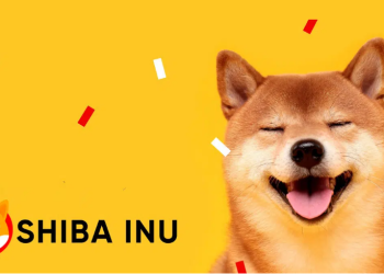 Shiba Inu