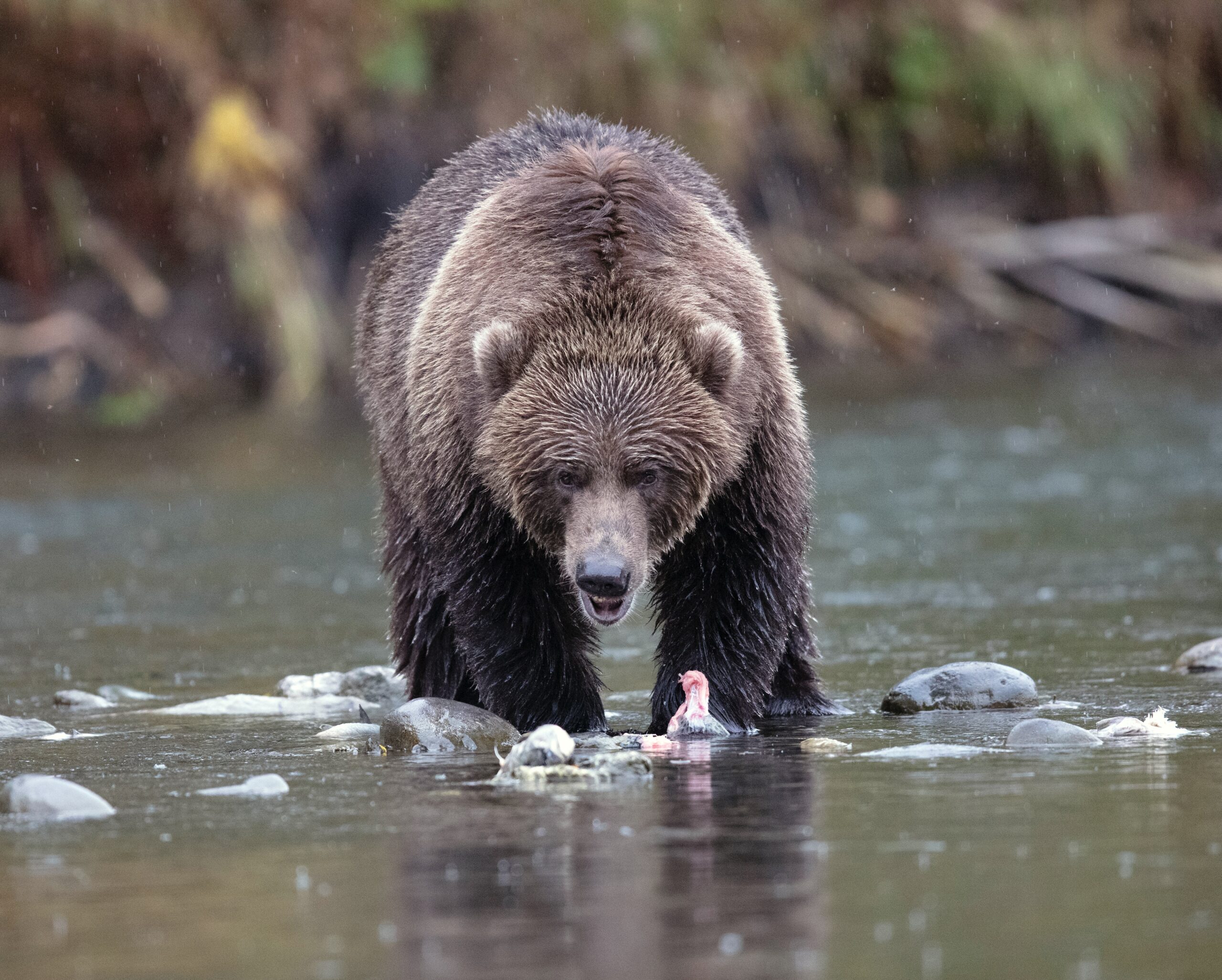 Bitcoin Long-Term Holder Capitulation Approaching Bottom Zone, But Not Quite There Yet