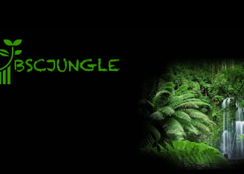 A Closer Look at BSCJUNGLE – The New Yield Farming DApp on Binance Smart Chain