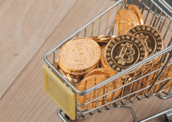 bitcoin weekly RSI bottom