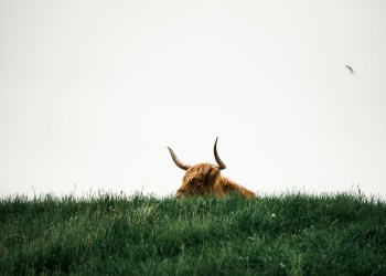 Why Hidden Bitcoin Bulls Could Be Ready To Charge