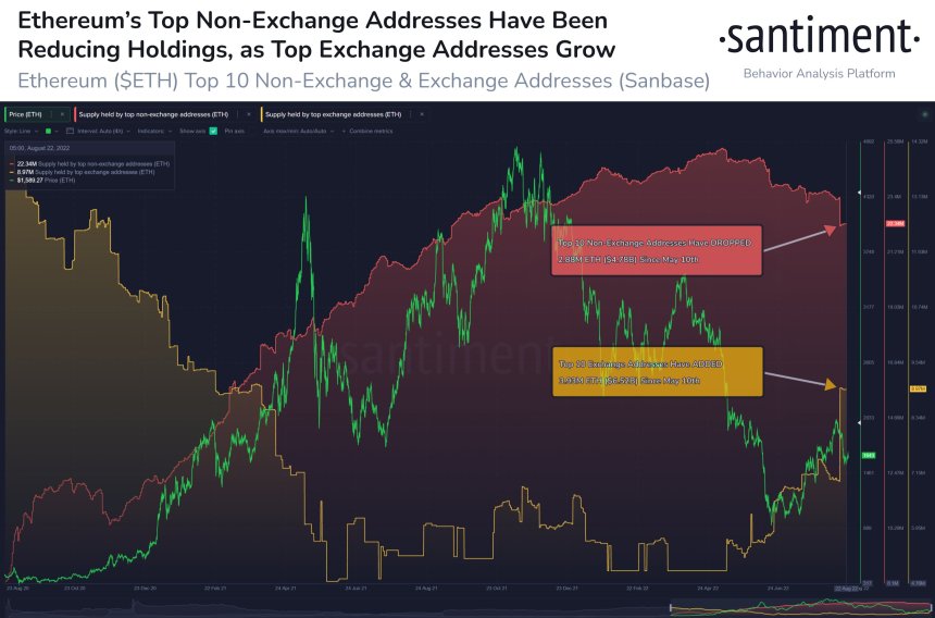 Ethereum Whales Shift Their Holding Into Reputable Exchanges