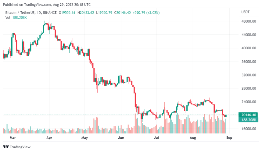 Bitcoin Price Rebounds After Falling Below The $20,000 Mark