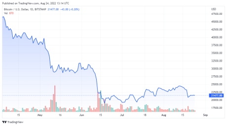 BTCUSD price chart for 08/24/2022 - TradingView