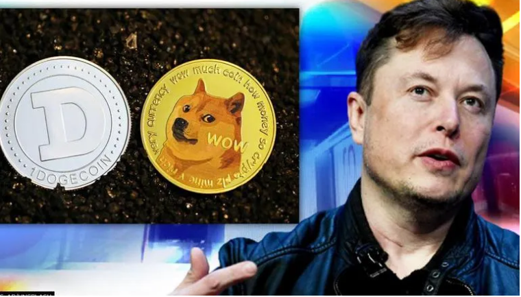 Is Elon Musk The Largest Holder Of Dogecoin (DOGE)?