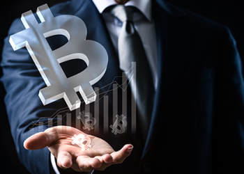 Institutional investor