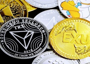 Keninah Concord And Fantom, Paired with Baby Doge Coin Will Give You a Well-Balanced Wallet!