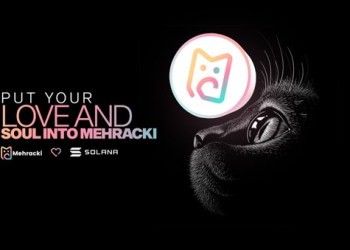 Mehracki (MKI) And Solana (SOL) – What Are The Similarities Between These Tokens?