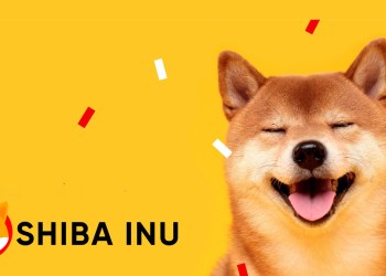 Shiba Inu price
