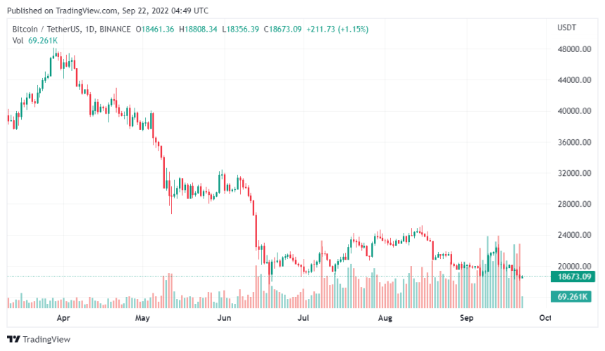 Bitcoin Falls Under High Selling Pressure, What Will Shoot Its Price?