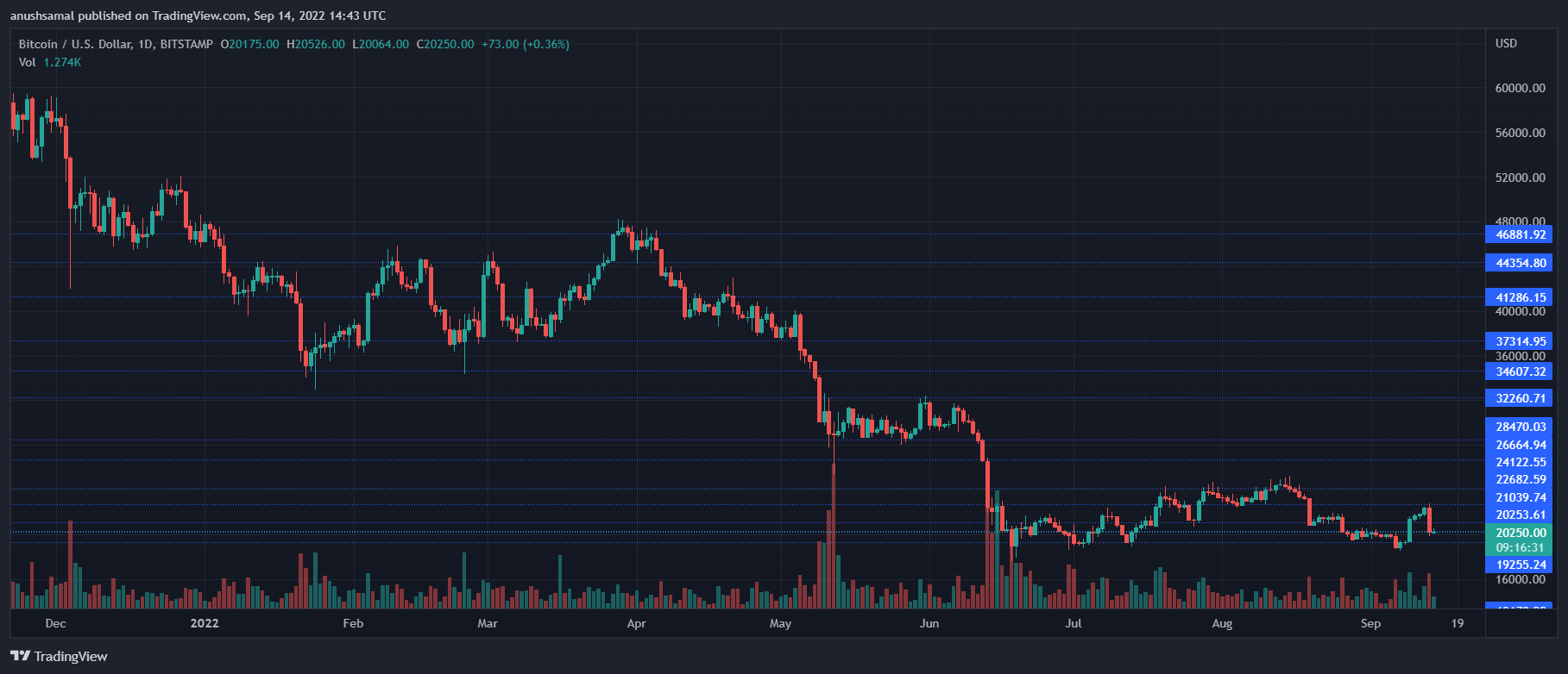 Bitcoin Price