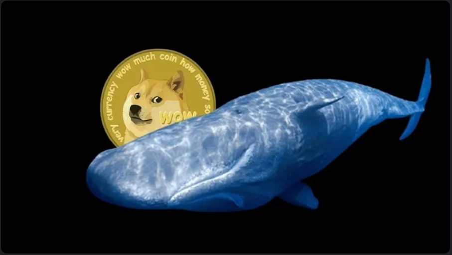 Dogecoin (DOGE) On Top Of Whales Menu – Here’s Why