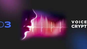 Get Into These Potentially Profitable Tokens Solana and Feed3 During The Bear Market