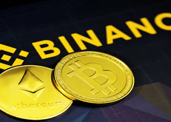 Don’t Be Left Out – Crypto Newbies are Buying Moshnake, Binance Coin, and Kusama