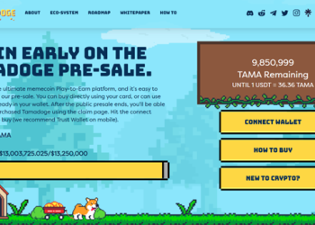 5 Trending Crypto Projects Preparing for the Next Bull Run