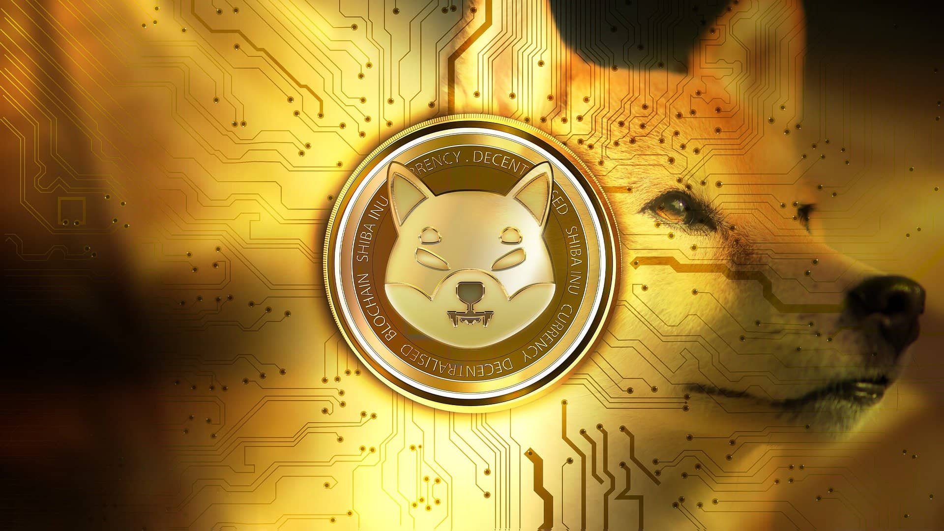 Shiba Inu Burn Rate Accelerates By 3,000%, Will It Impact Price?