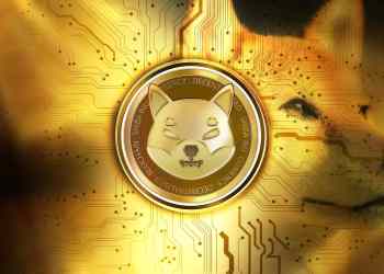 Shiba Inu