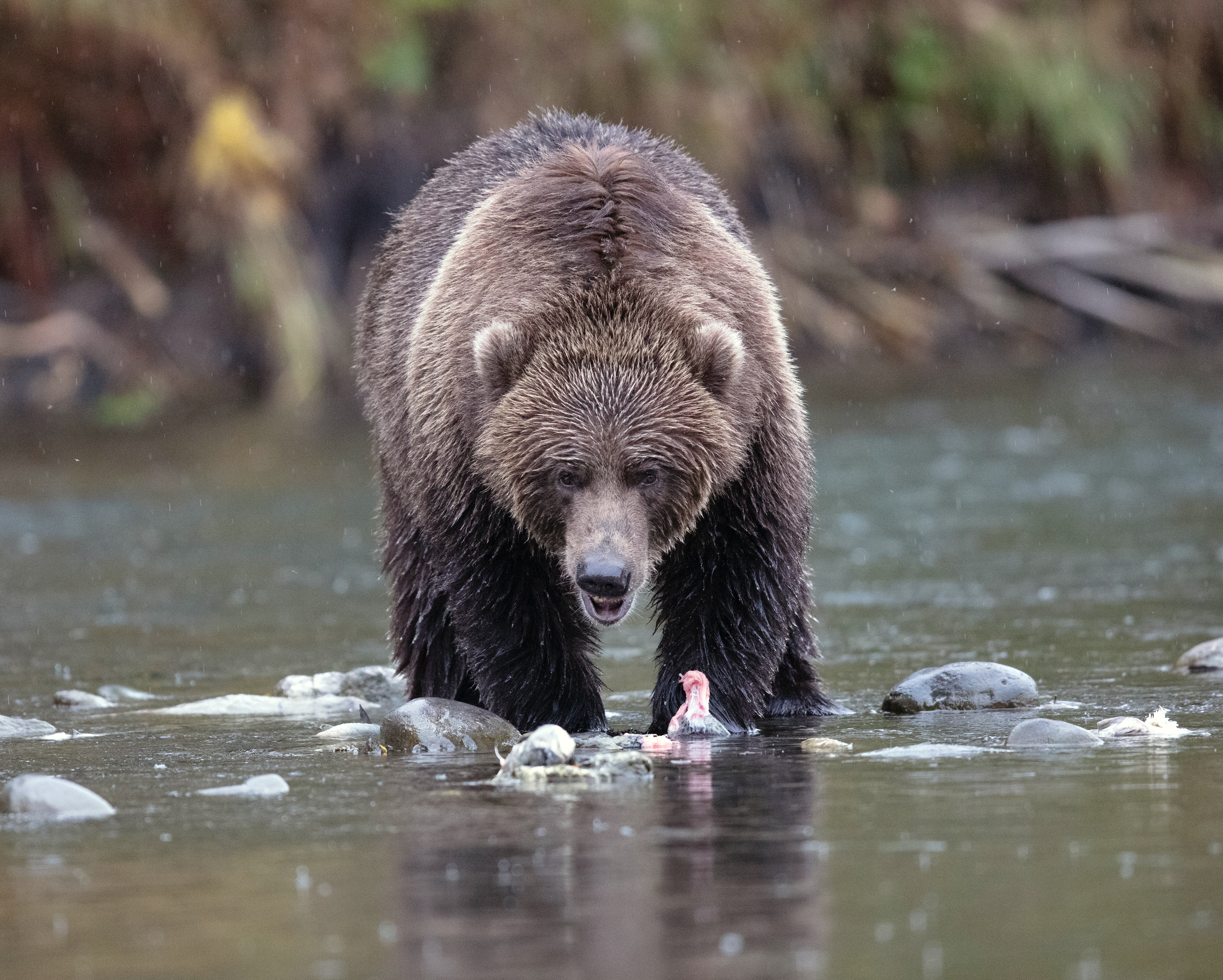 Bitcoin Bearish Signal: Miners Continue Transfers To Exchanges